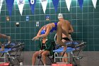 Swimming & Diving vs Babson  Swimming & Diving vs Babson College. - Photo by Keith Nordstrom : Wheaton, Swimming